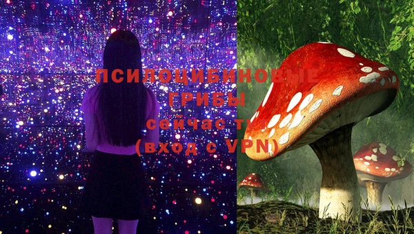 соль курить ск Гусев