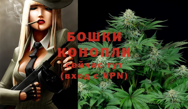 прущие крисы Гусиноозёрск