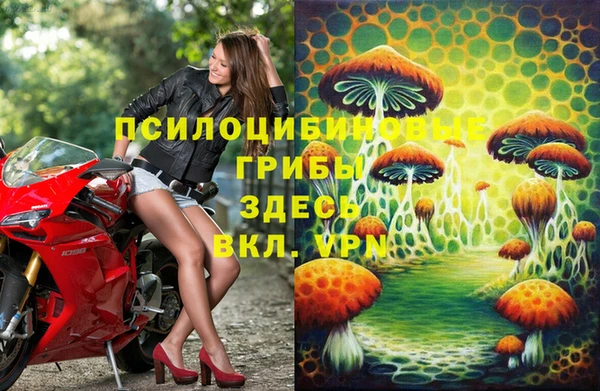 прущие крисы Гусиноозёрск