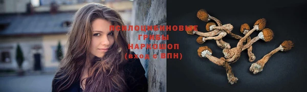 прущие крисы Гусиноозёрск