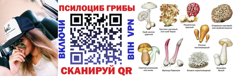 Галлюциногенные грибы MAGIC MUSHROOMS  Чухлома 